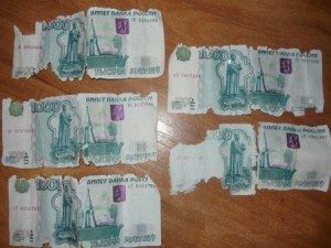 изпра парите