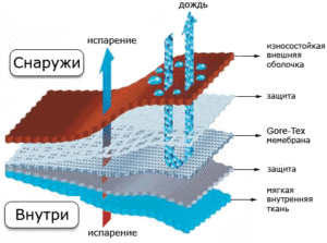 мембранна тъкан