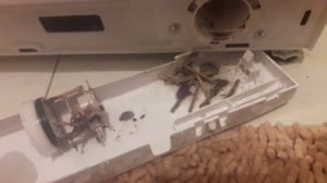 Струва си да почистите филтъра за боклук Струва си да почистите филтъра за боклук